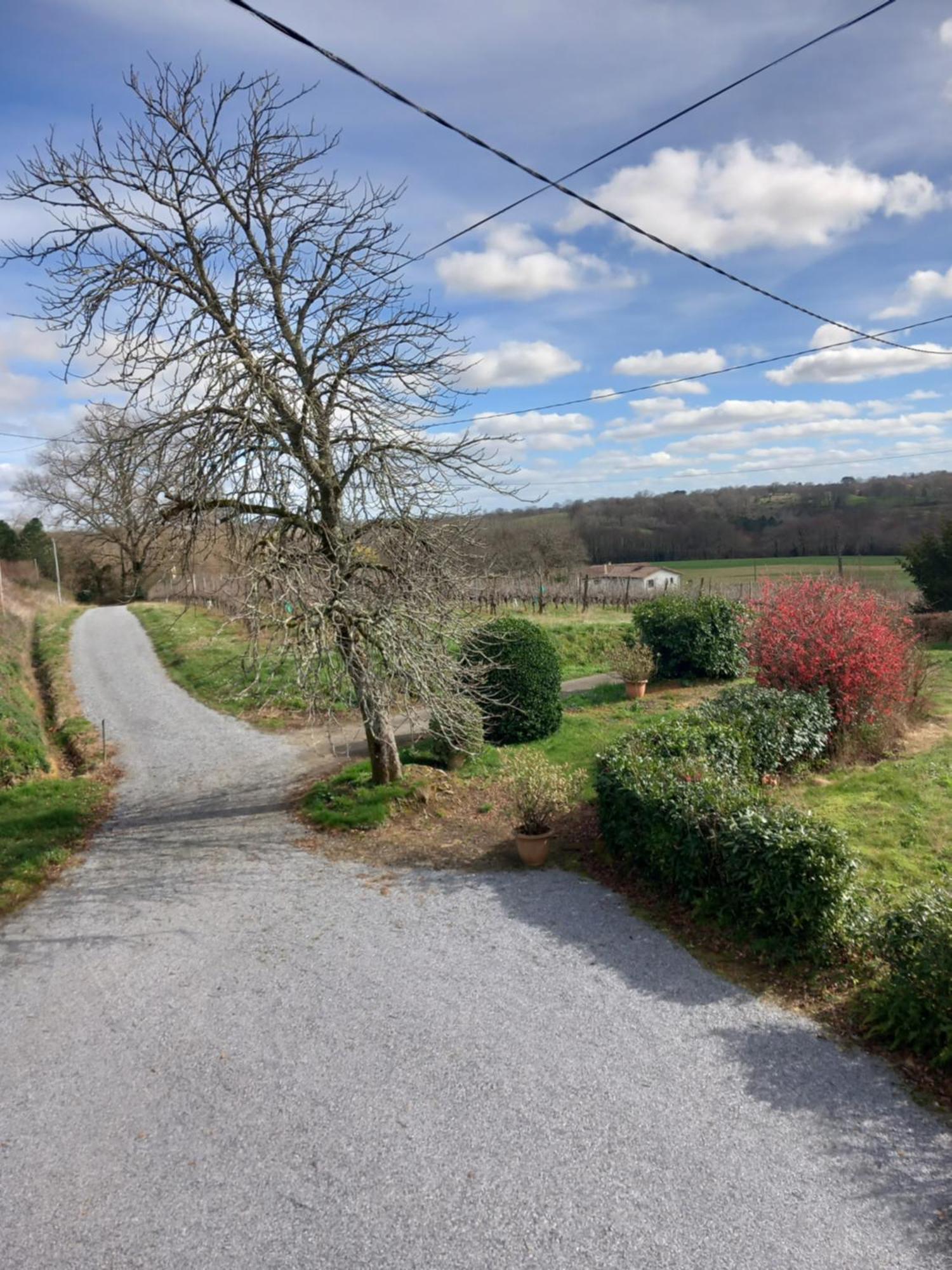 Maison De Campagne Les Chenes. Panjas Εξωτερικό φωτογραφία